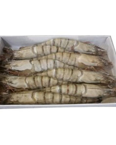 泰國急凍老虎蝦